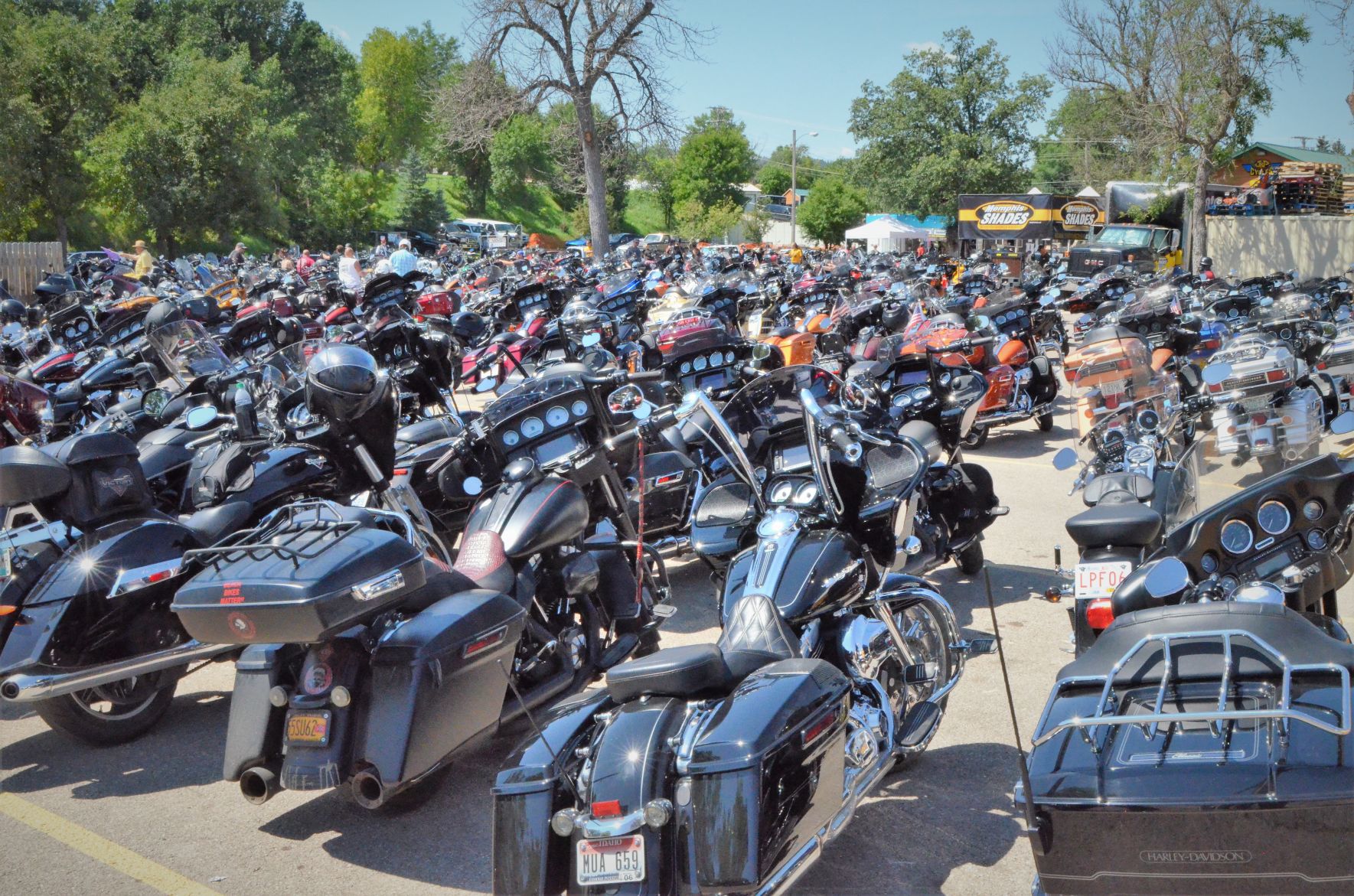 Sea of cycles.jpg